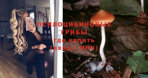 тгк Майский