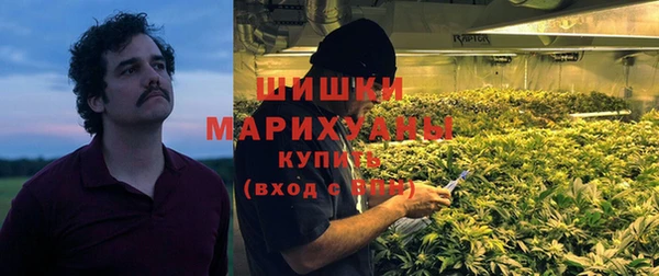индика Липки