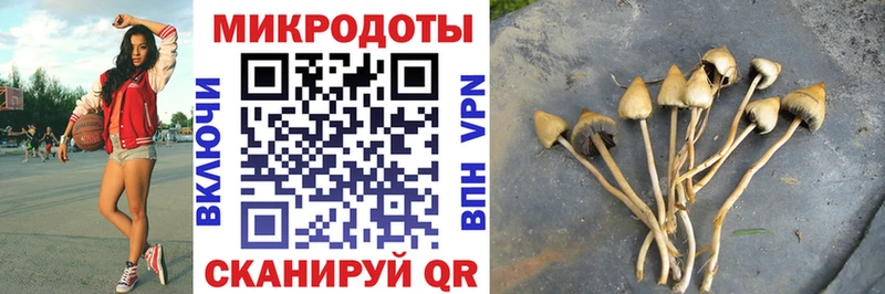 купить наркотики сайты  Ядрин  Галлюциногенные грибы прущие грибы 